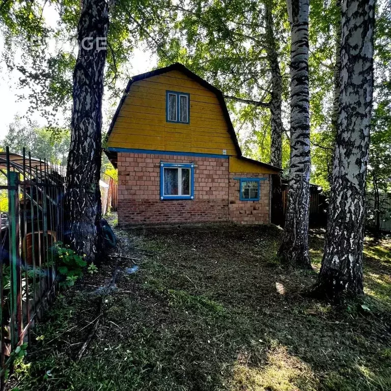 Участок в Новосибирская область, Новосибирский район, Барышевский ... - Фото 0