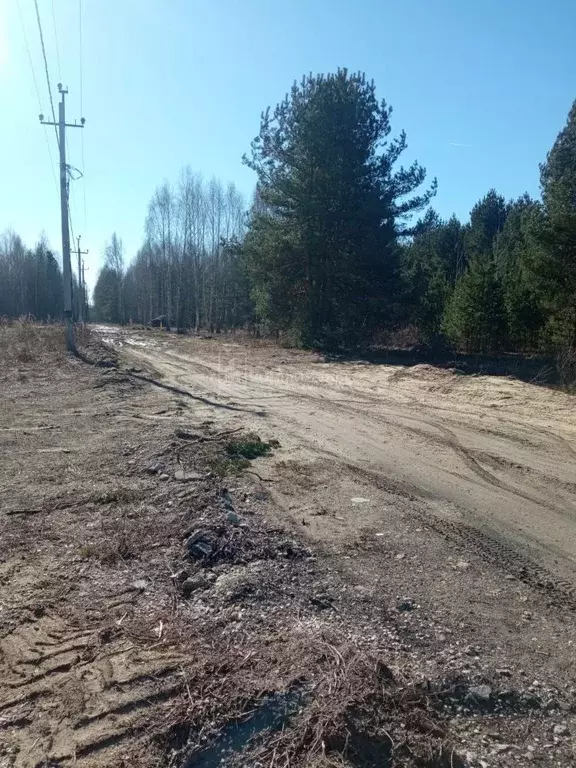 Участок в Владимирская область, Ковровский район, Новосельское с/пос, ... - Фото 2