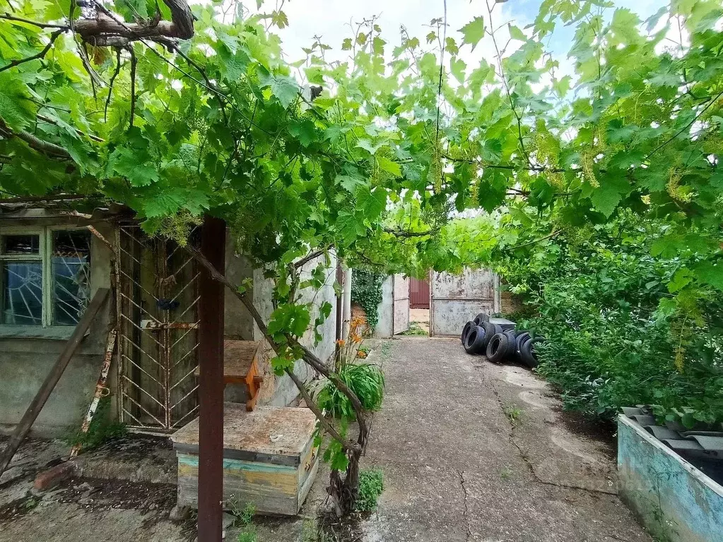 Дом в Крым, Сакский район, Новофедоровка пгт пер. Южный (22 м) - Фото 1