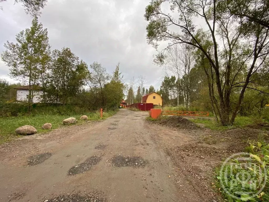 Участок в Ленинградская область, Ломоносовский район, Пениковское ... - Фото 1