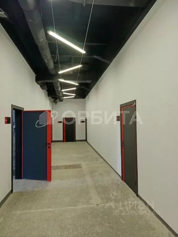 Помещение свободного назначения в Тюменская область, Тюмень ... - Фото 1