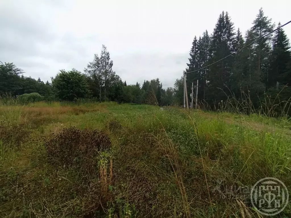 Участок в Ленинградская область, Всеволожский район, Агалатовское ... - Фото 1