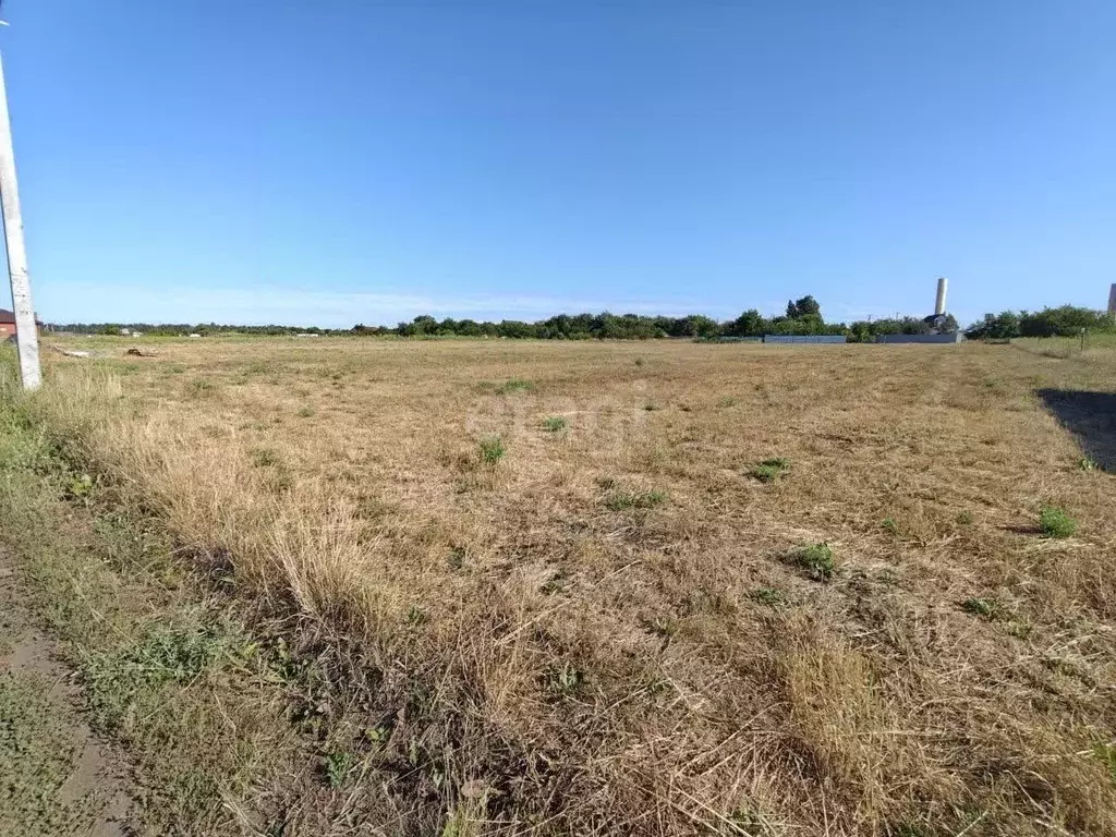 Участок в Белгородская область, Яковлевский муниципальный округ, с. ... - Фото 1