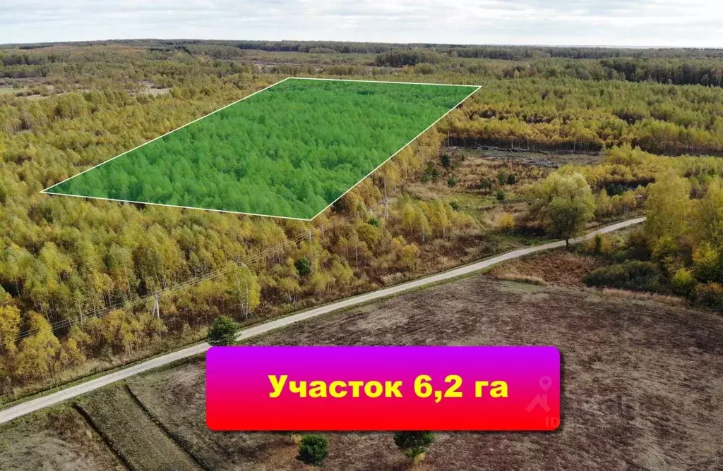 Участок в Тульская область, Заокский район, Страховское с/пос, д. ... - Фото 1