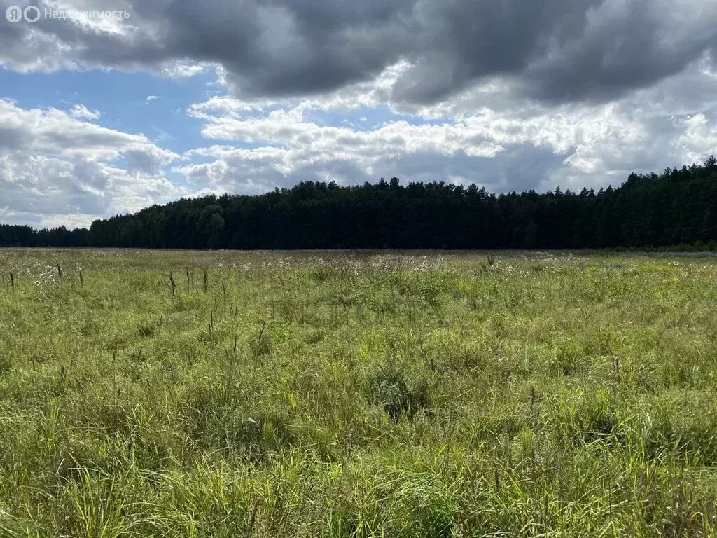 Участок в деревня Исаково (20 м) - Фото 1