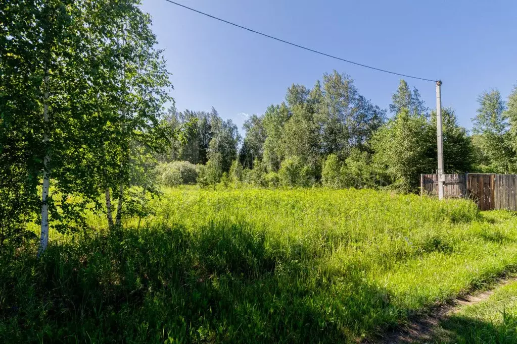 Участок в Тюменская область, Тюменский район, Ежевика дп  (15.0 сот.) - Фото 1