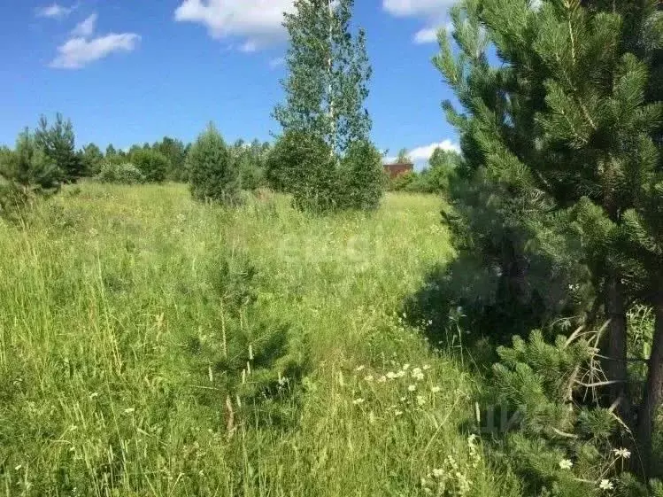 Участок в Кемеровская область, Кемеровский муниципальный округ, с. ... - Фото 0