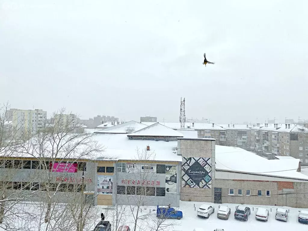 2-комнатная квартира: Братск, улица Обручева, 24 (44.3 м) - Фото 2