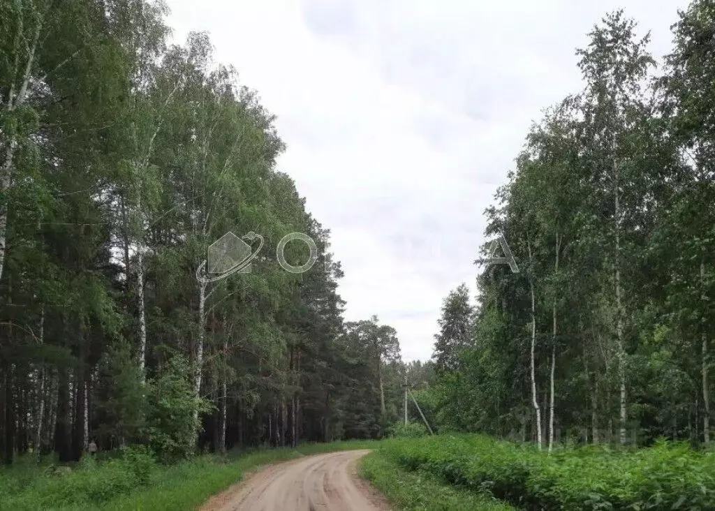 Участок в Тюменская область, Нижнетавдинский район, пос. Мияги ул. ... - Фото 0
