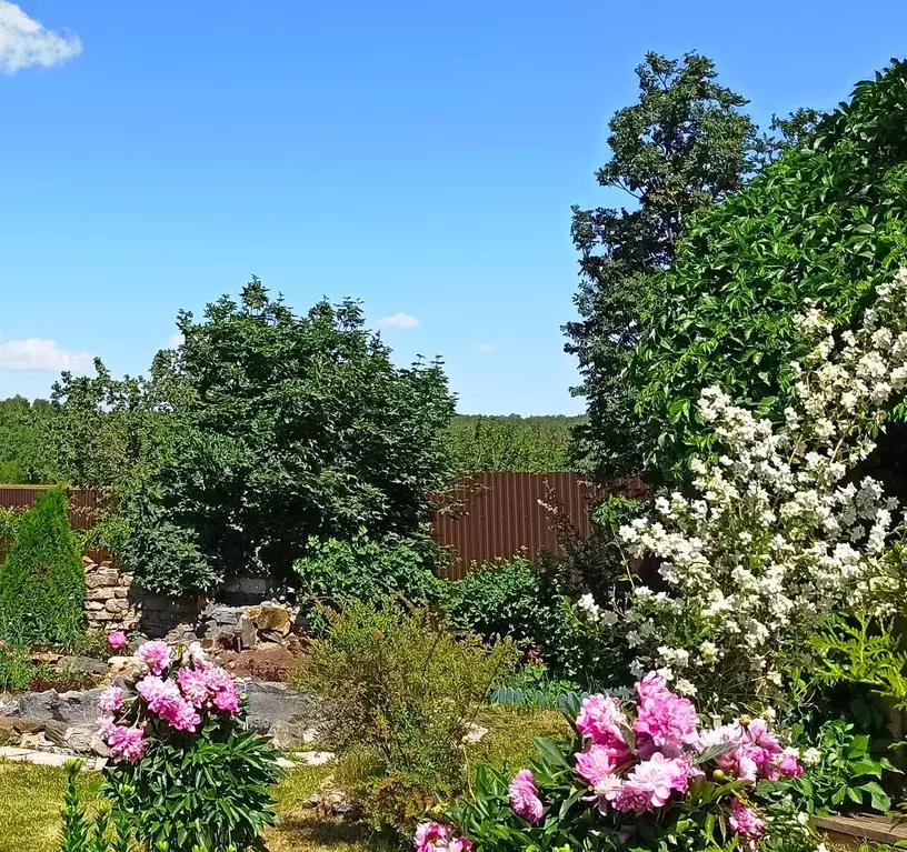 Дом в Свердловская область, Екатеринбург Аэродром ДНП, ул. Кедровая ... - Фото 1