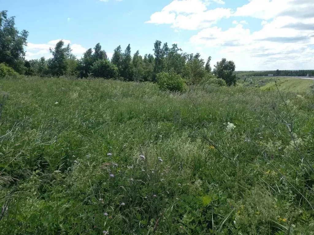 Участок в Нижегородская область, Богородский муниципальный округ, д. ... - Фото 2