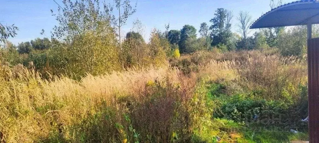Участок в Калининградская область, Гурьевский муниципальный округ, ... - Фото 1