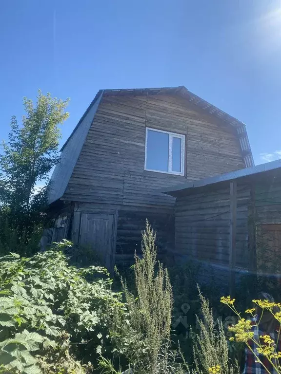 Участок в Алтайский край, Первомайский район, пос. Новый пер. ... - Фото 1