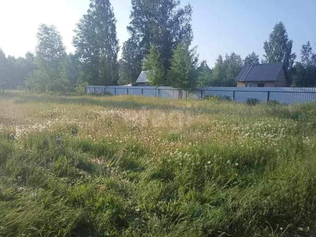 Участок в Тюменская область, Тюменский муниципальный округ, Фазенда ... - Фото 1