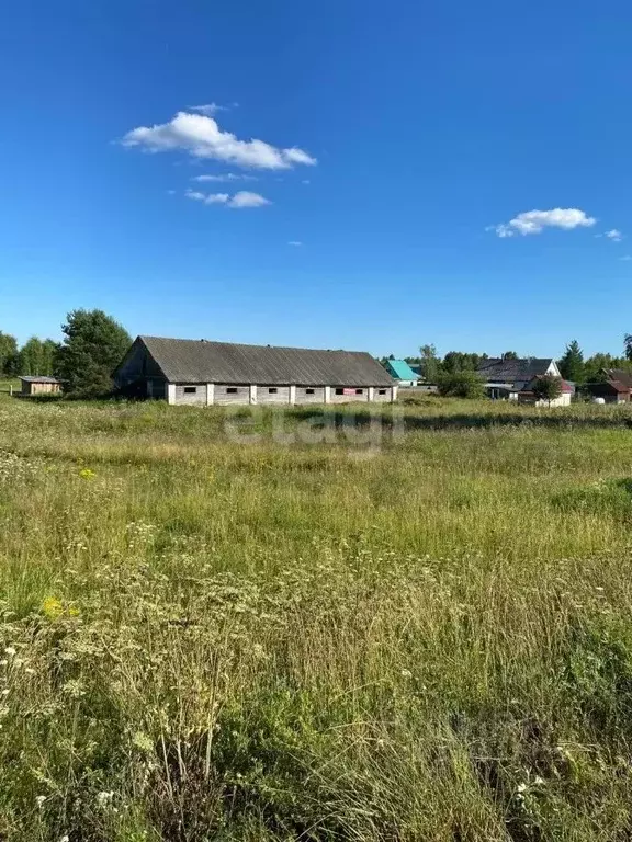 Участок в Тверская область, Старицкий муниципальный округ, д. ... - Фото 1