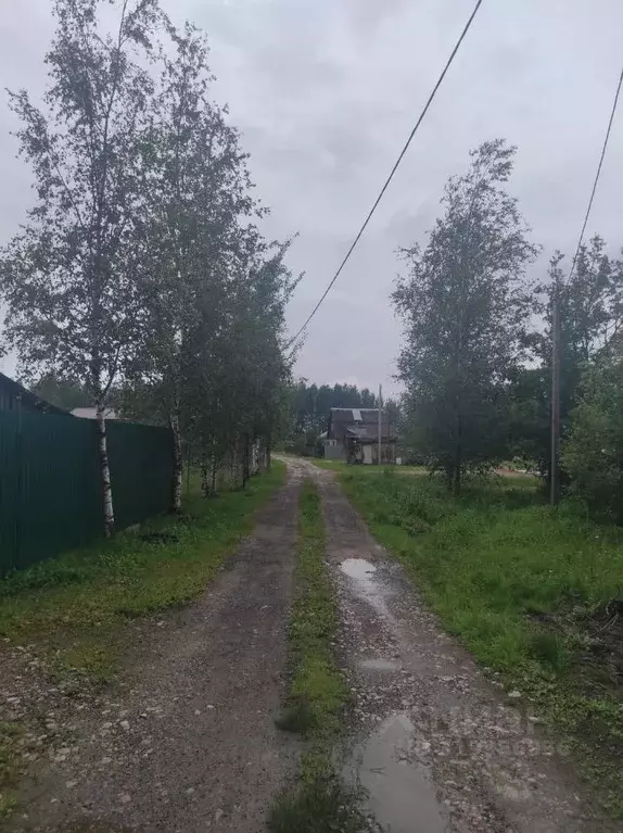 Дом в Новгородская область, Новгородский район, Трубичинское с/пос  ... - Фото 0