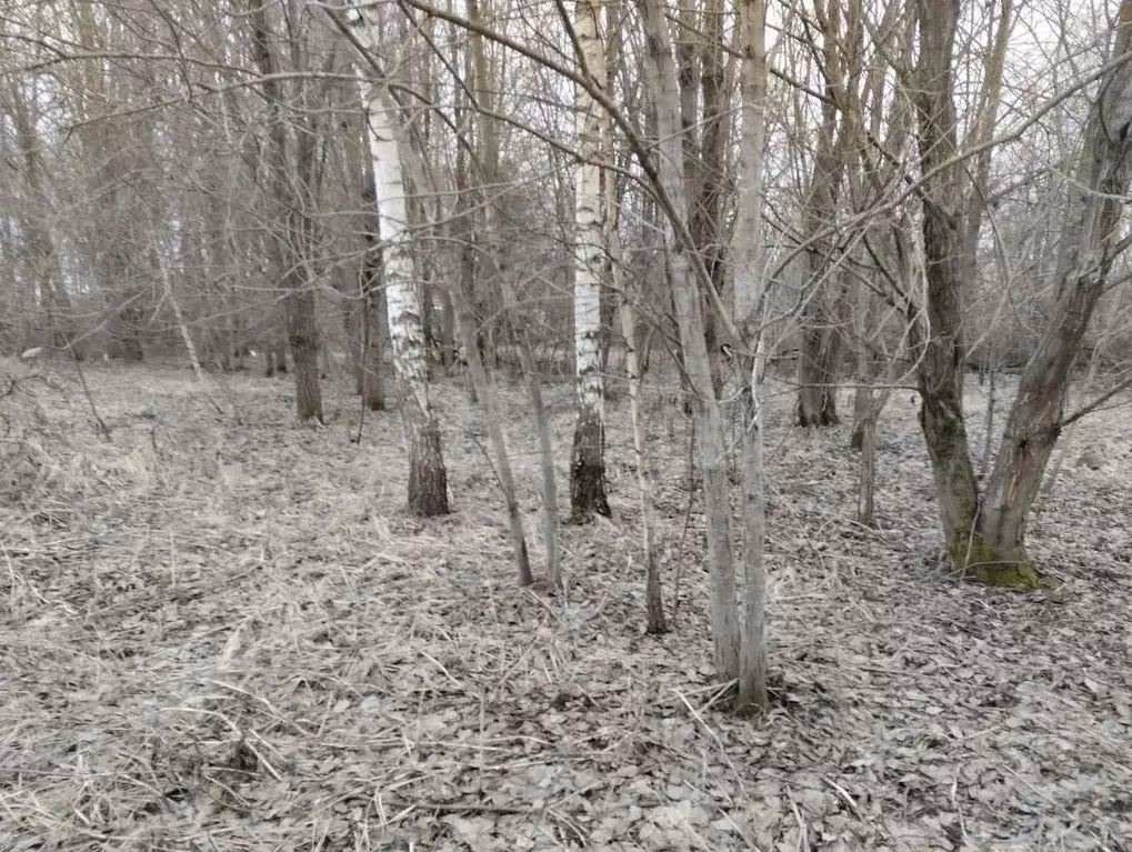 Участок в Смоленская область, Смоленск ш. Рославльское, 7 (1150.0 ... - Фото 2