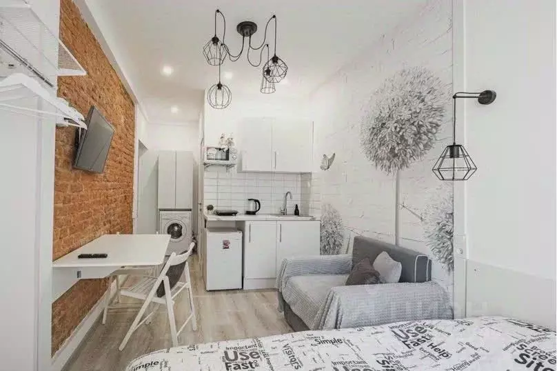 1-к кв. Санкт-Петербург Казанская ул., 42 (16.0 м) - Фото 2