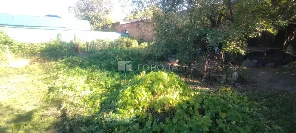 Дом в Барнаул, улица Анатолия, 119 (27 м) - Фото 2