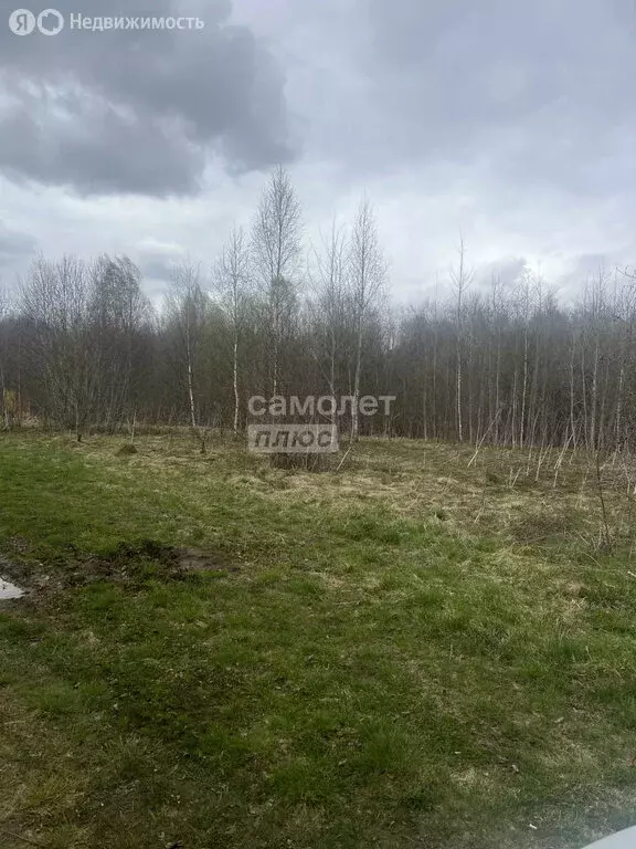 Участок в Смоленский муниципальный округ, деревня Зубовщина, ... - Фото 2