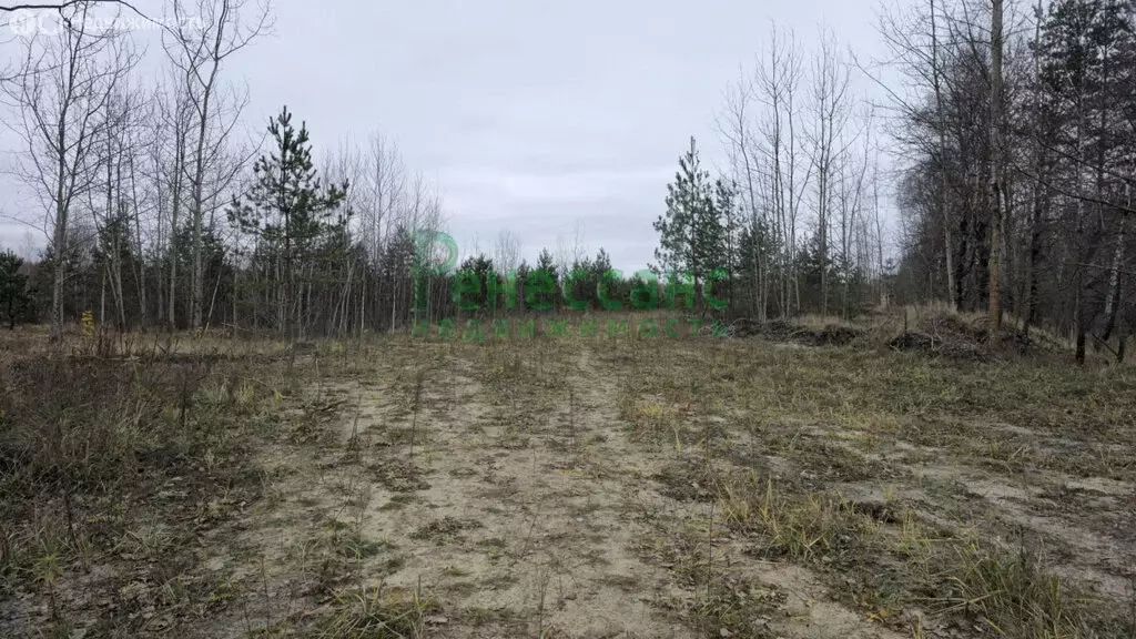 Участок в Брянск, Фосфоритная улица (13 м) - Фото 0