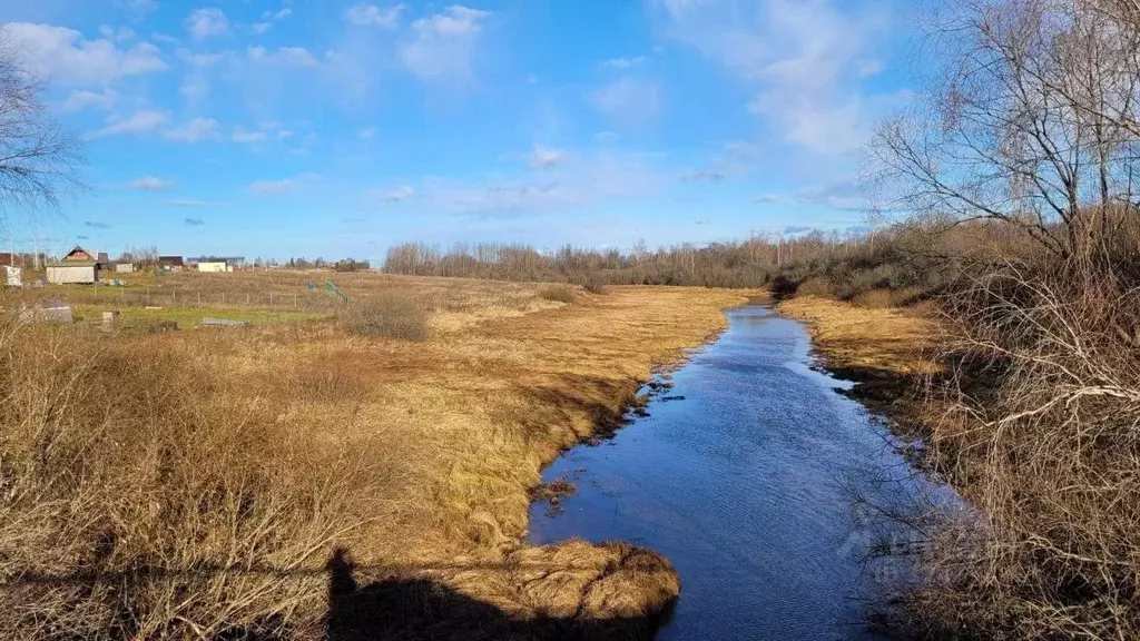 Участок в Новгородская область, Чудовский район, д. Высокое ул. ... - Фото 0