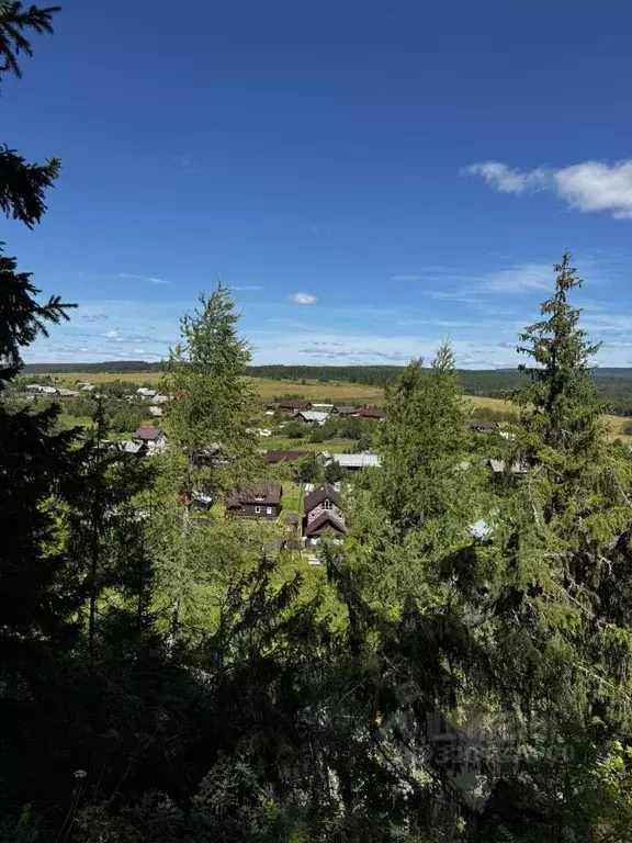 Участок в Свердловская область, Полевской муниципальный округ, с. ... - Фото 1