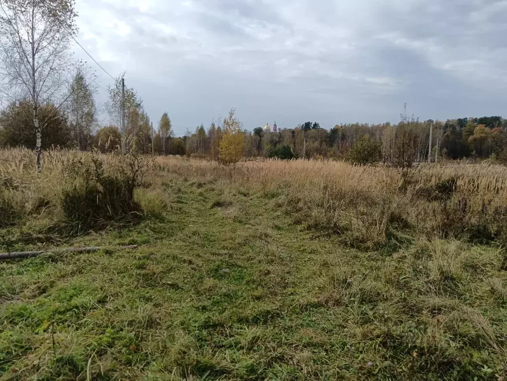 Участок в Владимирская область, Александровский муниципальный округ, ... - Фото 2