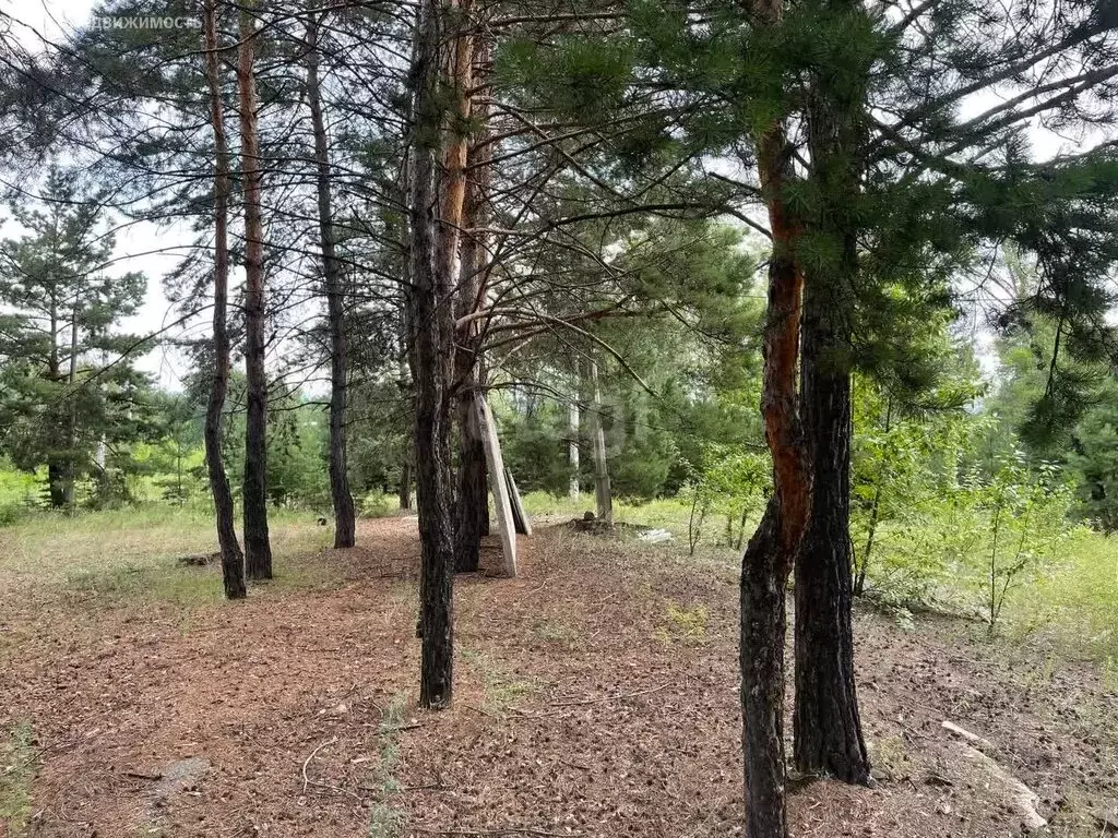 Участок в Республика Хакасия, рабочий посёлок Майна, садоводческое ... - Фото 0