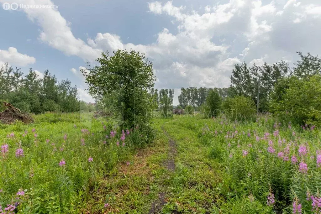 Участок в Тюмень, жилой квартал Зелёные Аллеи (6.8 м) - Фото 0