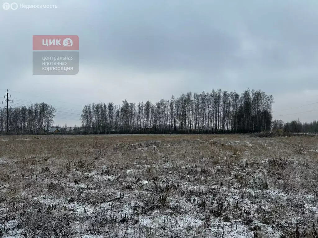 Участок в Рязанский район, Вышгородское сельское поселение, село ... - Фото 0