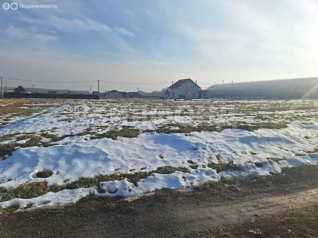 Участок в Искитимский район, Мичуринский сельсовет, СНТ Агролес (10 м) - Фото 1