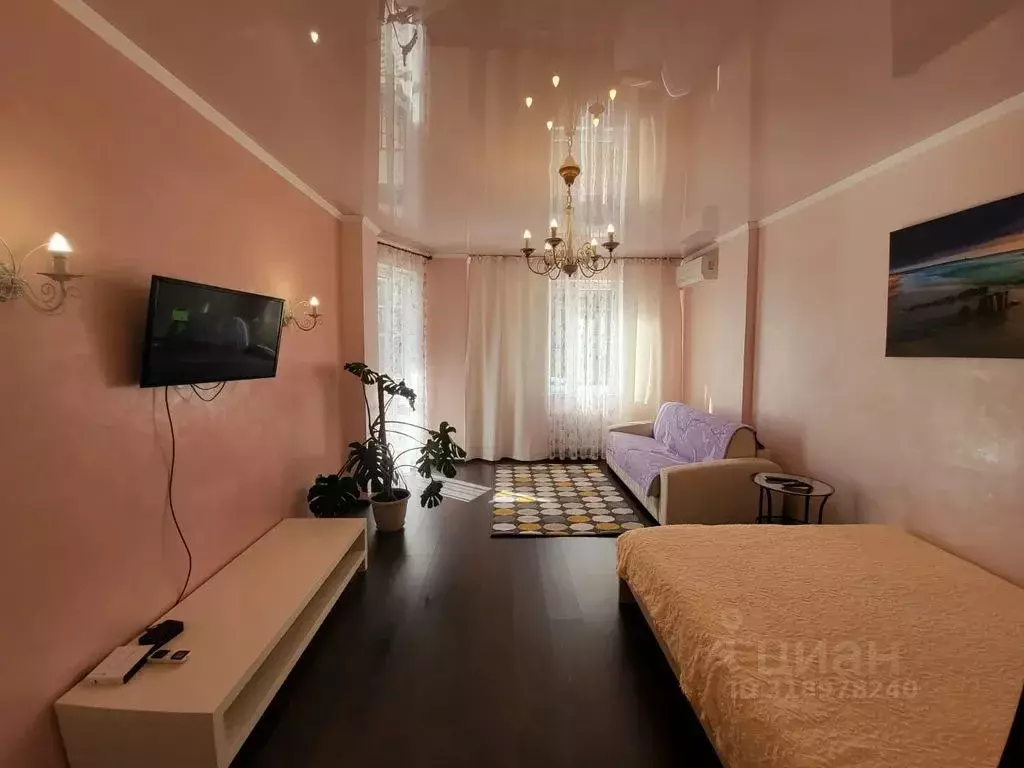 1-к кв. Краснодарский край, Анапа Таманская ул., 24 (60.0 м) - Фото 1