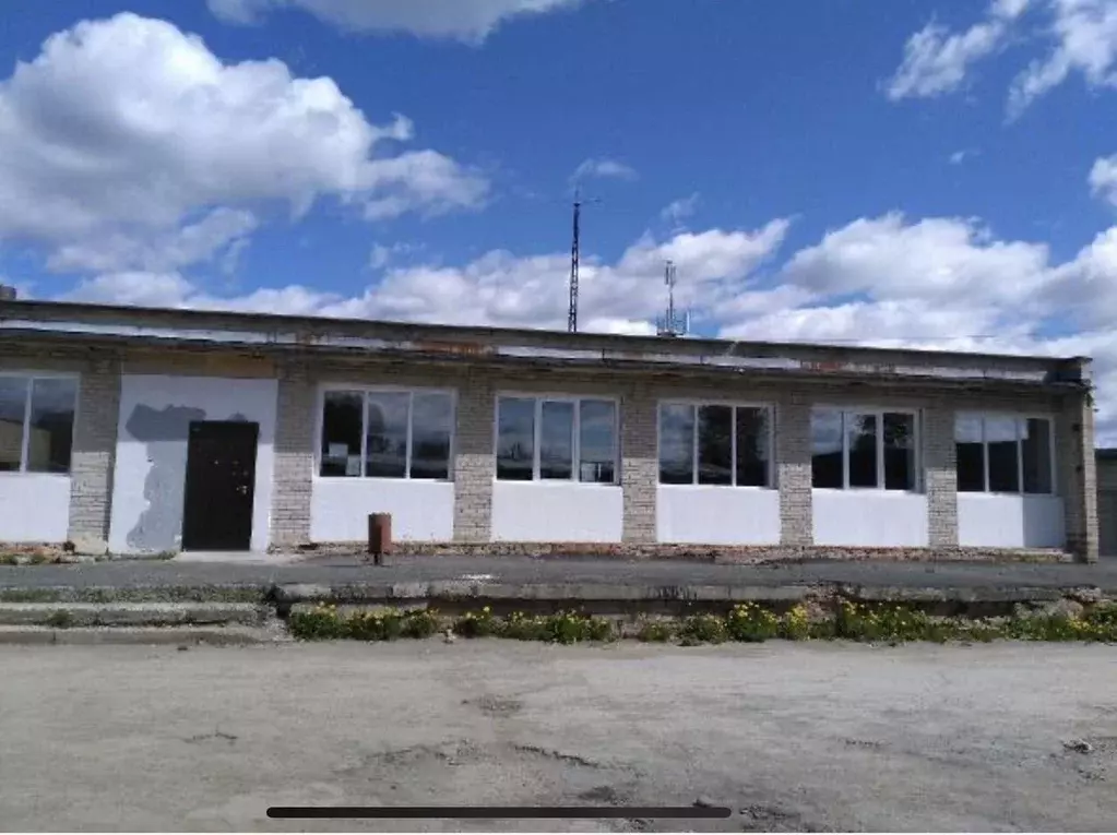 Помещение свободного назначения в Свердловская область, Новоуральский ... - Фото 1