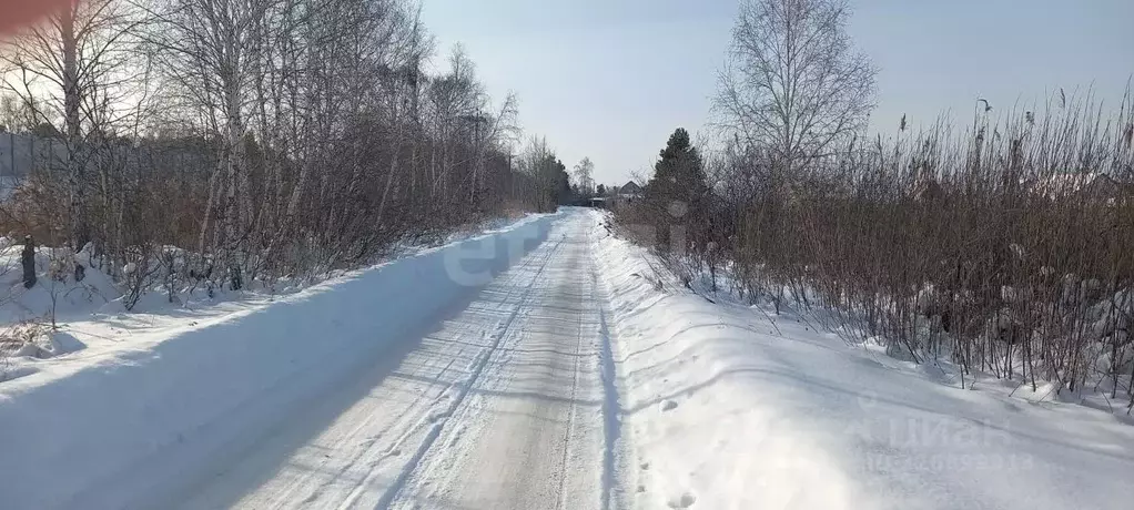 Участок в Курганская область, Курган Боровое СНТ,  (8.3 сот.) - Фото 2