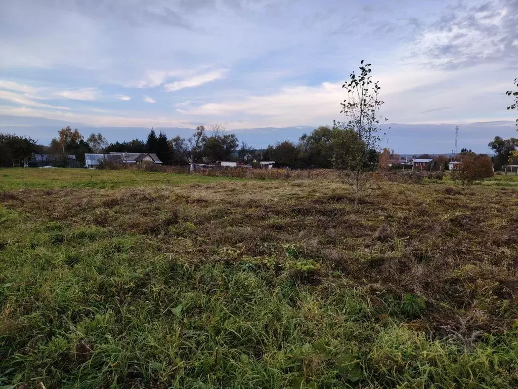 Участок в Тульская область, Алексин городской округ, с. Бунырево ул. ... - Фото 2