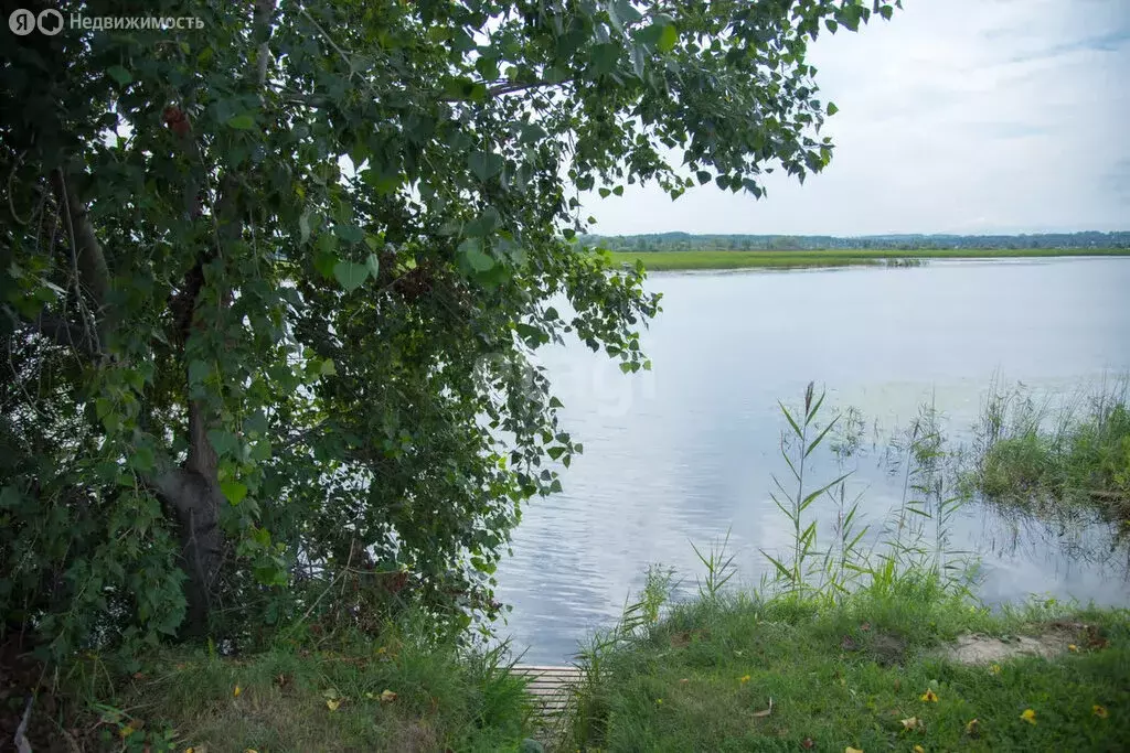 Участок в Искитим, садовое товарищество Зелёный Бор (8 м) - Фото 0