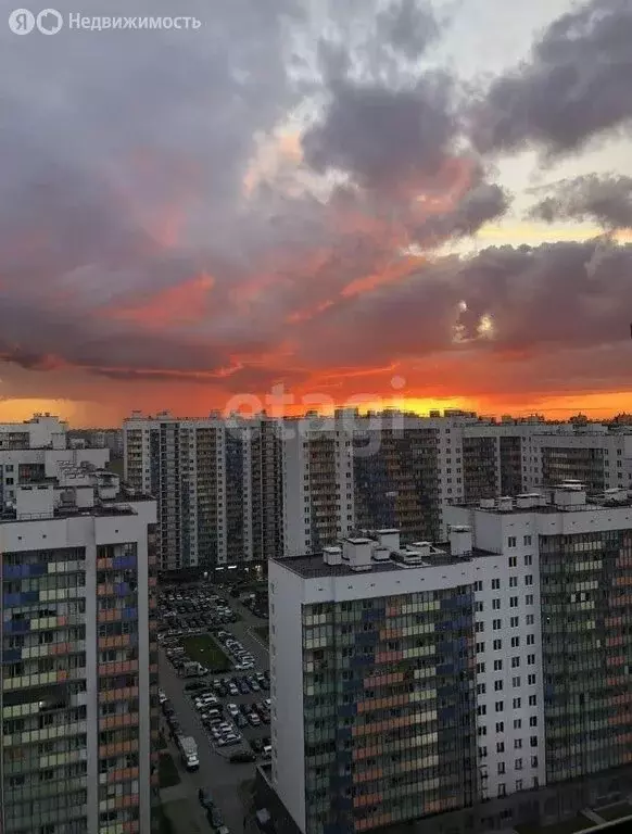 Квартира-студия: Мурино, Воронцовский бульвар, 16к2 (20.5 м) - Фото 2