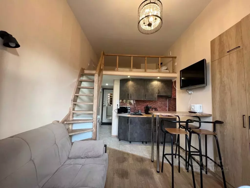 1-к кв. Санкт-Петербург ул. Союза печатников, 10А/8 (20.0 м) - Фото 1