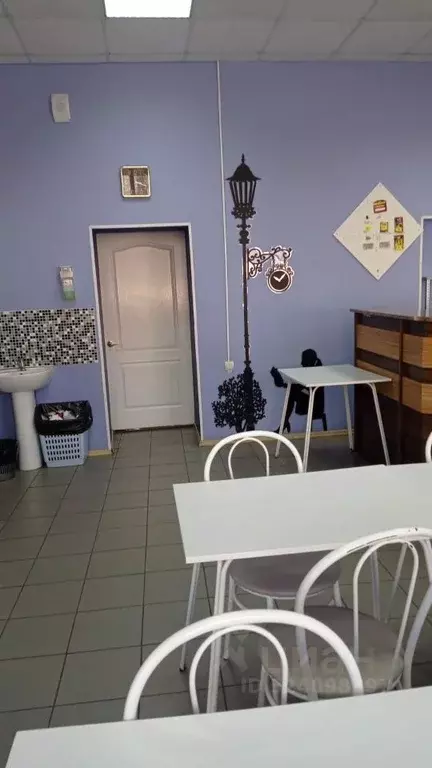 Помещение свободного назначения в Омская область, Омск ул. Звездова, ... - Фото 1