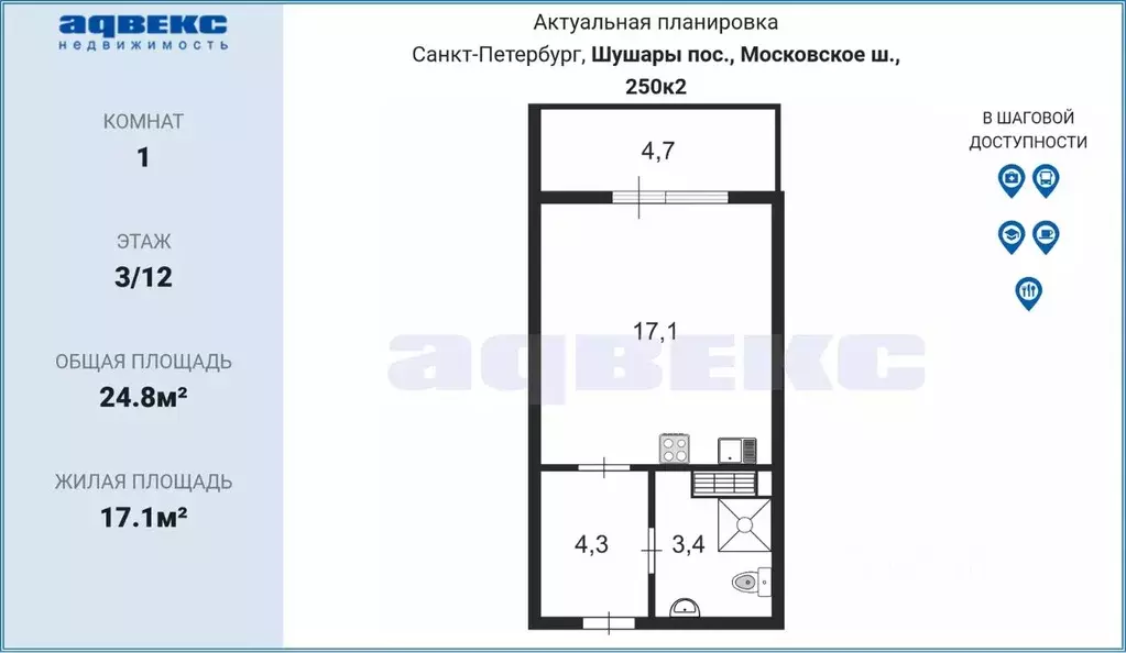 студия санкт-петербург пос. шушары, московское ш, 250к2 (24.8 м) - Фото 1