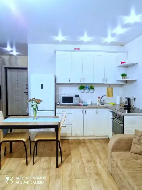 Студия Новосибирская область, Новосибирск ул. Семьи Шамшиных, 90/5 ... - Фото 2