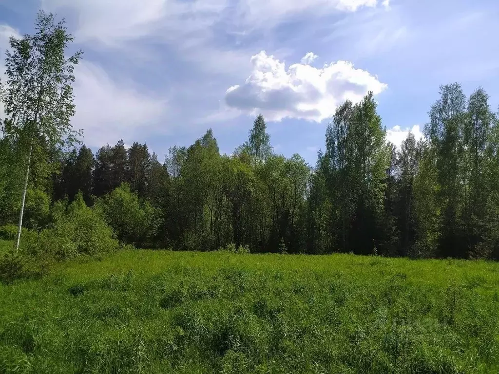 Участок в Вологодская область, д. Ананьино  (18.0 сот.) - Фото 1