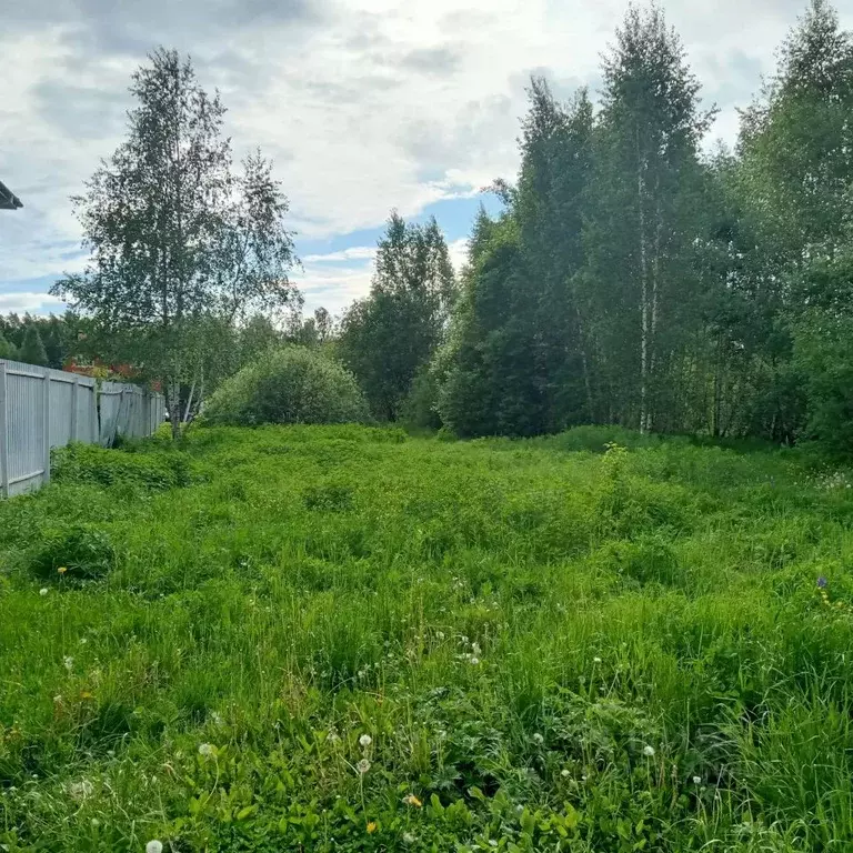 Участок в Московская область, Егорьевск ул. Калабалина, 4А (5.0 сот.) - Фото 1