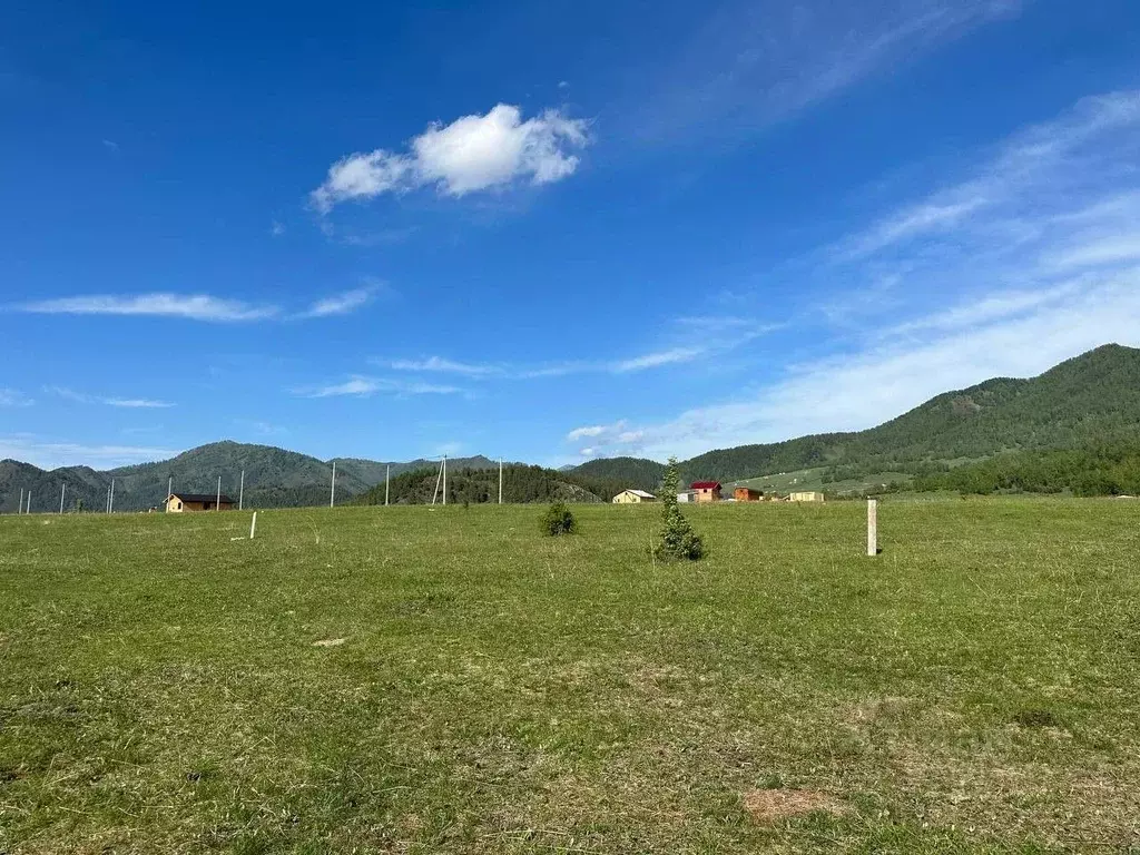 Участок в Алтай, Чемальский район, Элекмонарское с/пос, с. Элекмонар  ... - Фото 1