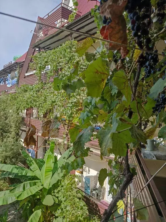 Квартира, студия, 22 м - Фото 0