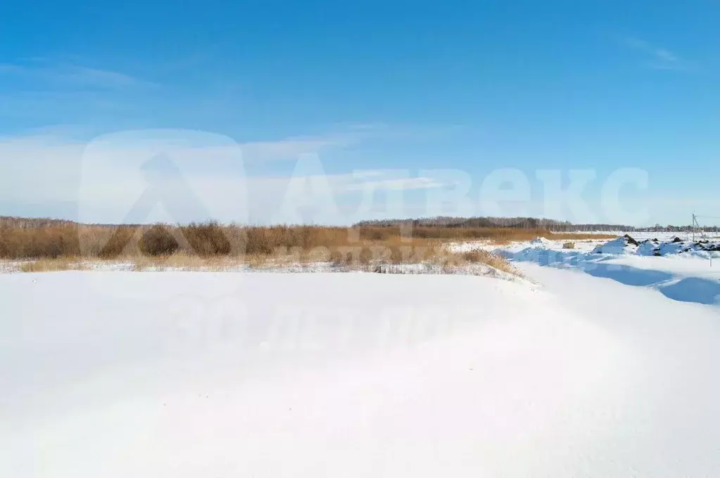 Участок в Тюменская область, Нижнетавдинский муниципальный округ, ... - Фото 2