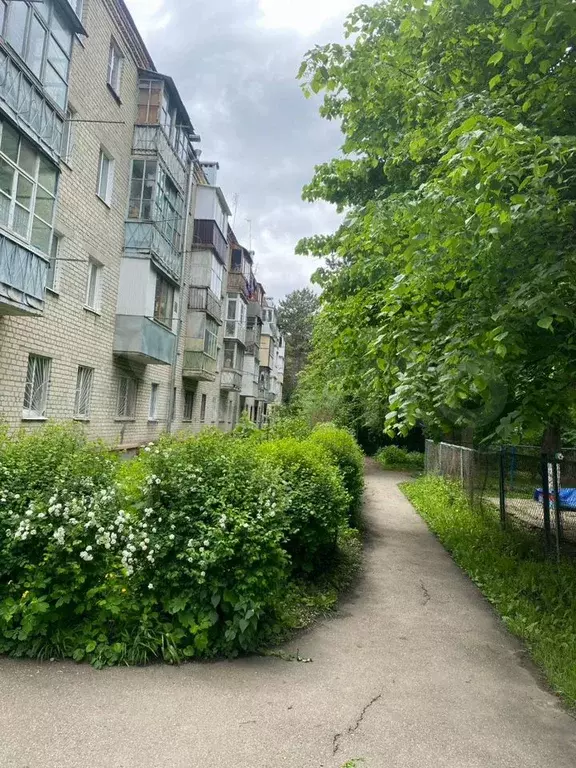 1-к. квартира, 31 м, 2/4 эт. - Фото 1