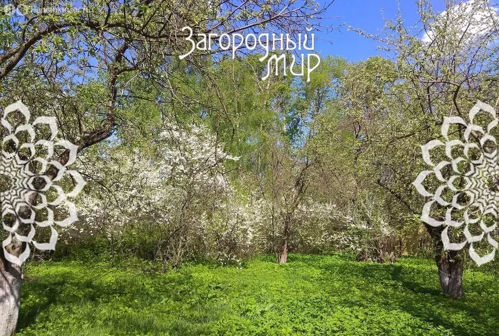 Участок в Балашиха, микрорайон Салтыковка, Октябрьская улица (15 м) - Фото 1