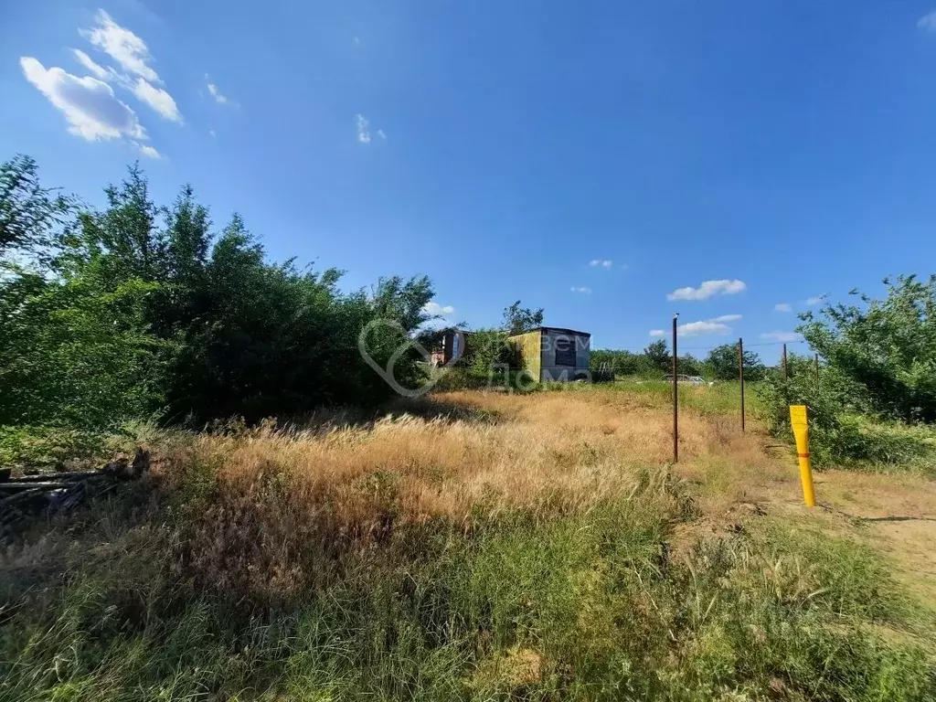 Участок в Волгоградская область, Городищенский район, Царицынское ... - Фото 1